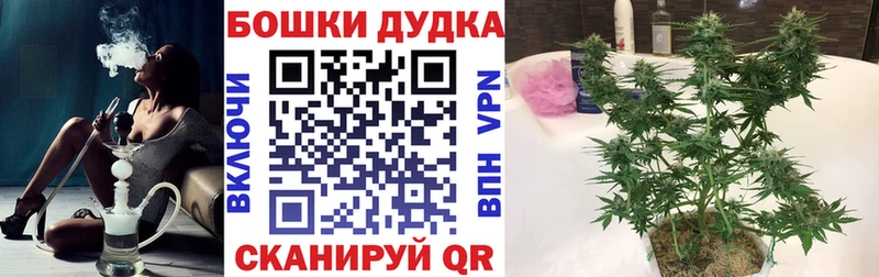 Купить наркоту Усть-Лабинск Канабис  Галлюциногенные грибы  Альфа ПВП  ГАШИШ  Меф 